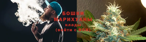 молекула духа Волосово