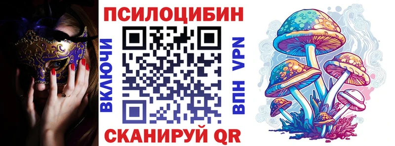 Псилоцибиновые грибы Cubensis  Зеленодольск 